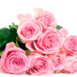 Preview: Baking Supplies and Baking Ingredients * Flavour Rose