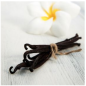 Preview: Baking Ingredients and Baking Supplies * Flavour Vanilla